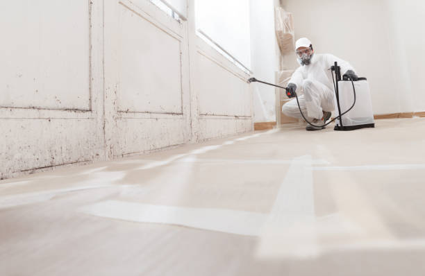 24/7 Emergency Attic Mold Removal experts in Traverse City, MI