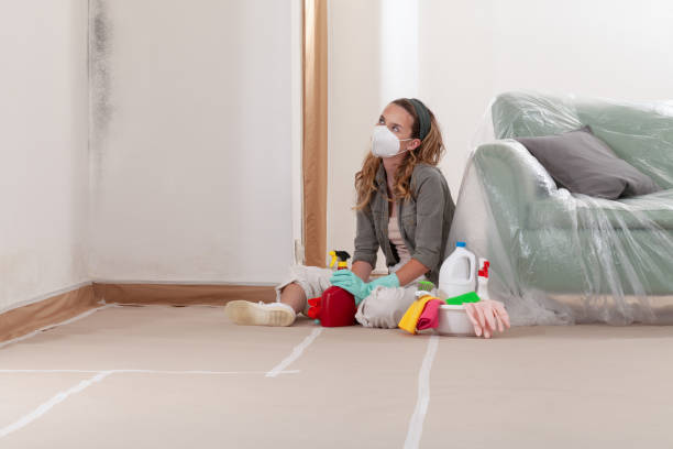 Reliable Attic Mold Removal contractor in Traverse City, MI by WQB Mold Removal